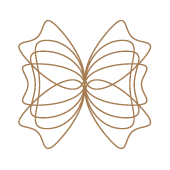 Abstrakte Zeichnung von einem Schmetterling als Linie